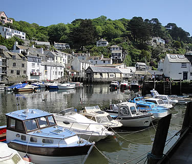 Polperro Harbour